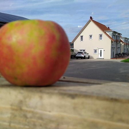 Ferienhof Dachsberg Wohnung Sundowner 베르마팅겐 외부 사진